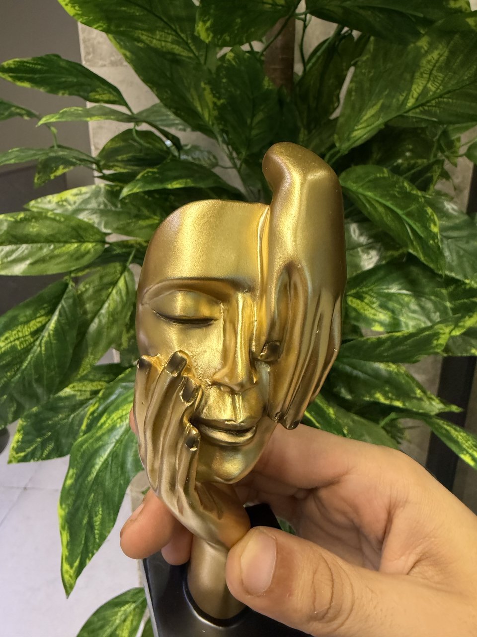 Nova Home 